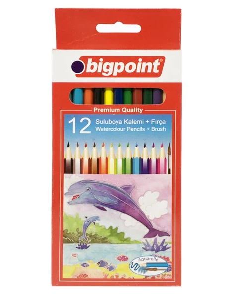 Bigpoint 12li Sulu Boya Kalemi (Fırça Hediyeli)