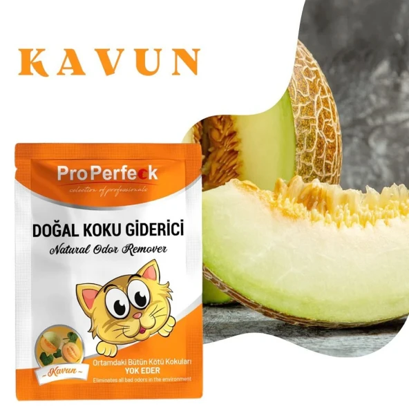 Pro Perfeck Kavun Kokulu Koku Giderici 25 gr