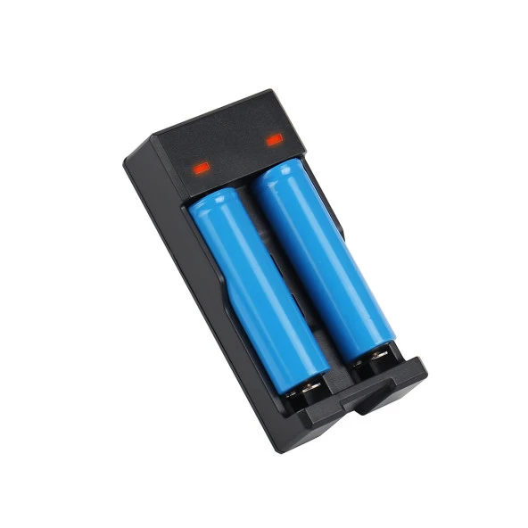 Powermaster PMR-988 4.2 Volt 2 X 1200 Mah Pil Şarj Cihazı - 3
