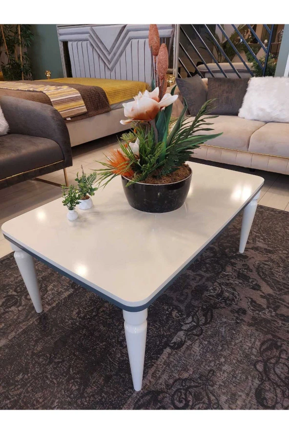 AKSET Orta Sehpa Lüx Krem Antrasit - Resim 2