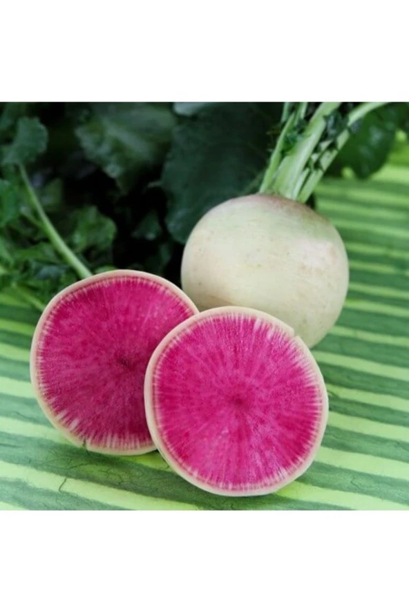 50 Adet Tohum Organik Çin Turp Turpu Tohumu Organik Hobi Bahçe Saksı Toprak Hediyemizdir ürün görseli 1