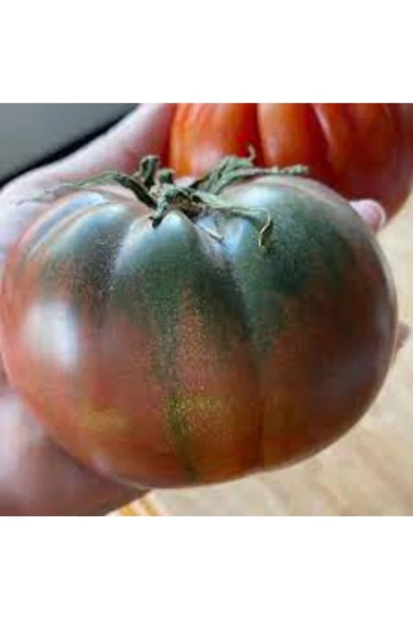 500 Adet Tohum Yeni Mahsul Organik Köy Domatesi Essah Yerli Alacalı Köy Domates ürün görseli 1