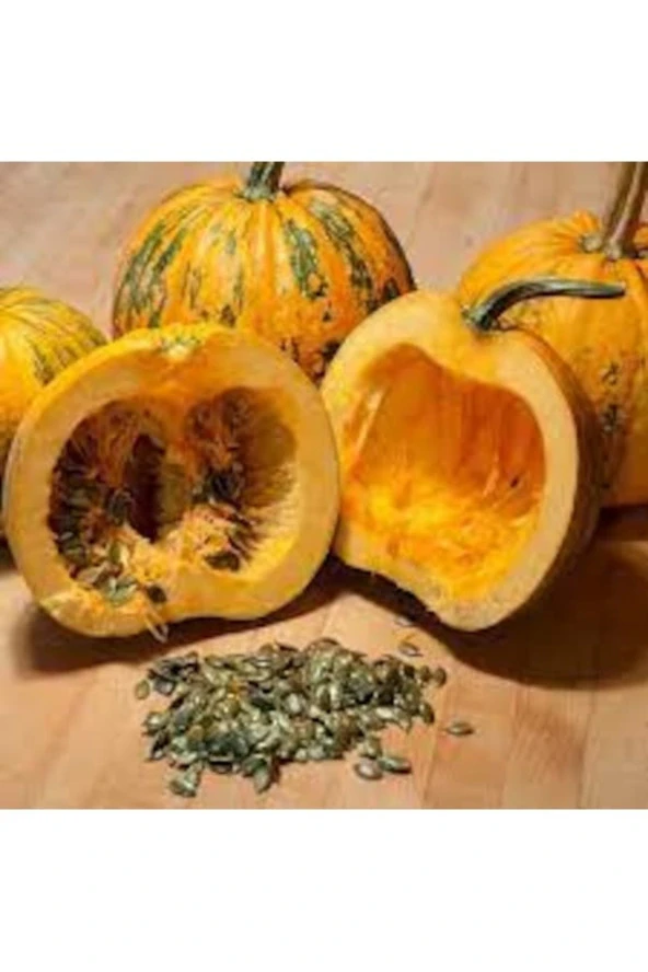 10 Adet Tohum Nadir İthal Kabuksuz Kabak Çekirdeği Tohumu Saksı Topraklıdır ürün görseli 1