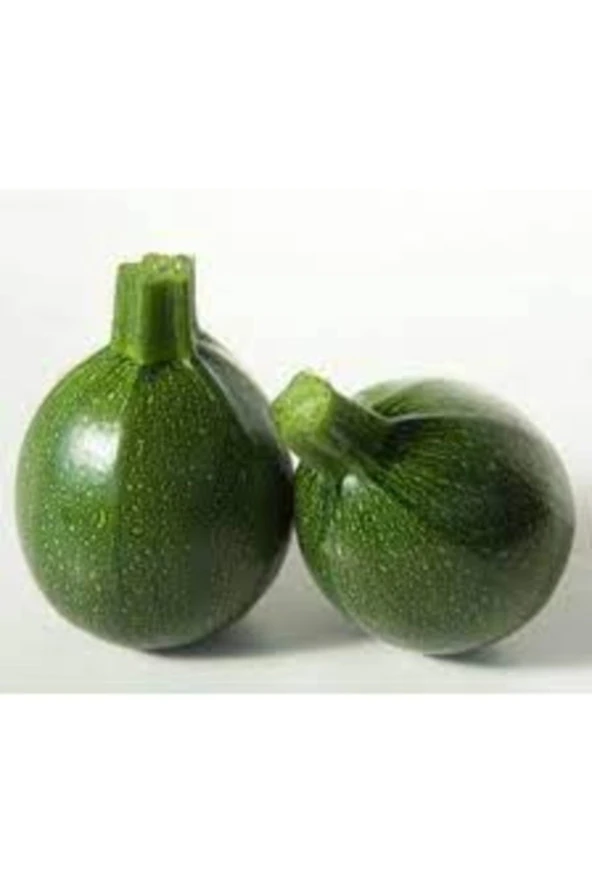 20 Adet Tohum Organik Taze Hasat Hobi Bahçe Yeşil Topak Kabak Tohum Köy Tohumu ürün görseli 1