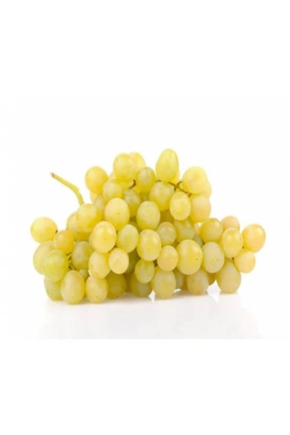 50 Adet Tohum Organik Golden Hobi Bahçe Tarsus Beyazı Bal Üzüm Tohumu ürün görseli