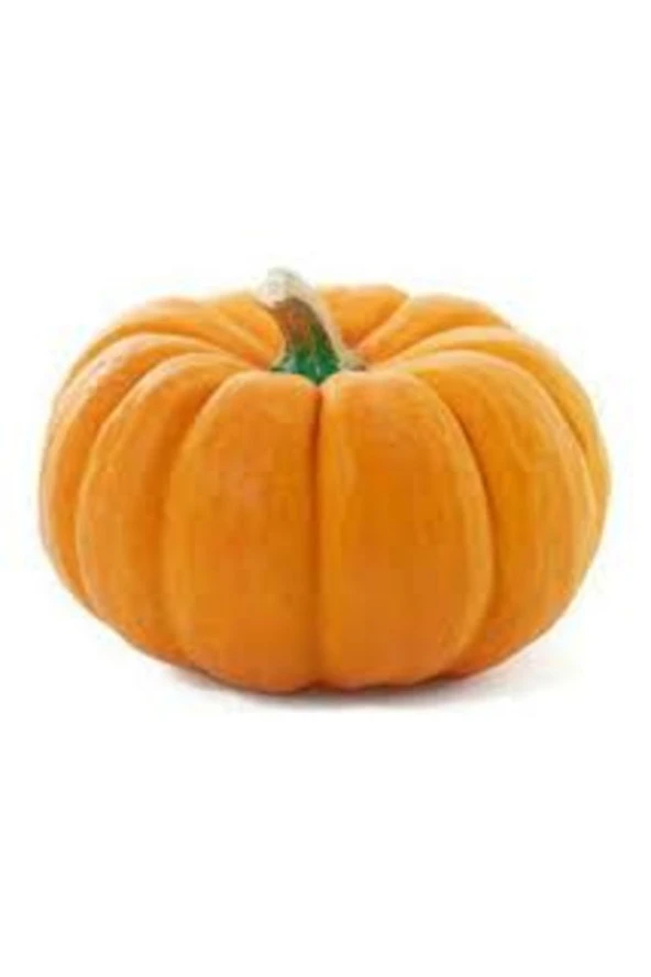 20 Adet Tohum Organik Hobi Bahçe Sarı Bal Kabak Tohum Saksı Topraklı ürün görseli