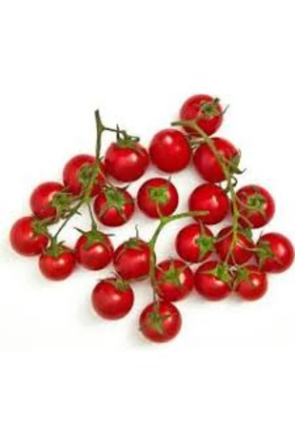 50 Adet Tohum Organik Hobi Bahçe Mini Bezelye Domates Saksı Toprak Hediyelidir ürün görseli 1