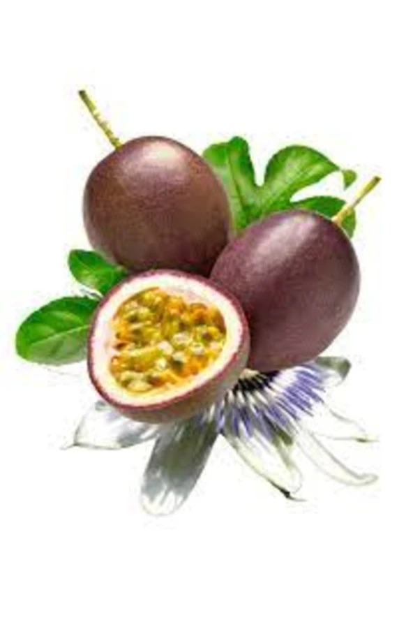 15 Adet Tohum Organik Hobi Bahçe Tutku Meyvesi Tohumu Saksı Toprak Hediyeli ürün görseli 1