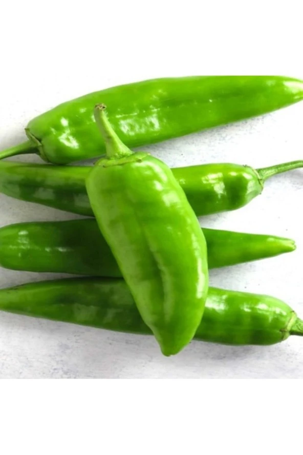 100 Adet Tohum Hobi Bahçe Yağlık Pat Biber Tohumu Saksı Topraklı ürün görseli 1