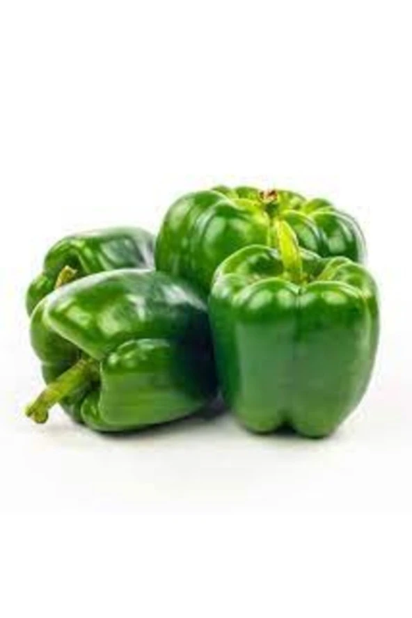 20 Adet Tohum Organik Hobi Balkon Acı Yeşil Antep Biberi Saksı Topraklı ürün görseli 1