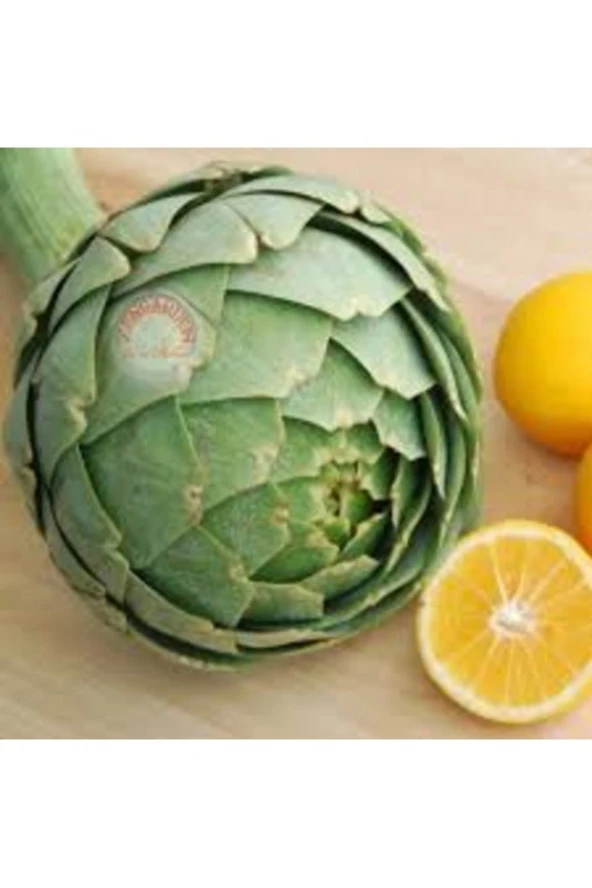 5 Adet Tohum Organik Hobi Bahçe Enginar Tohumu Saksı Toprak Hediye Gönderilir ürün görseli 1