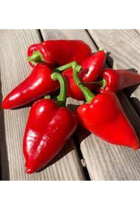 50 Adet Tohum Nadir Bulunan Kırmızı Mini Kapya Biber Saksı Topraklıdır ürün görseli 1