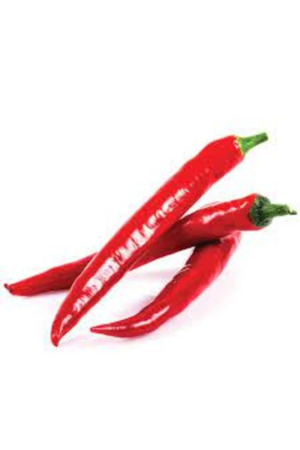 50 Adet Tohum İnce Meksika Acı Şili Biberi Tohumu Yeni Hasat Tohumlar ürün görseli 1