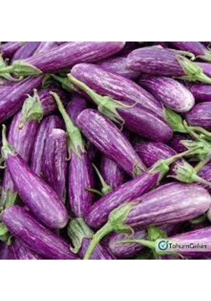 50 Adet Tohum Alaca Komando Köy Domatesi Tohumu Hediye Tohumludur - Resim 2