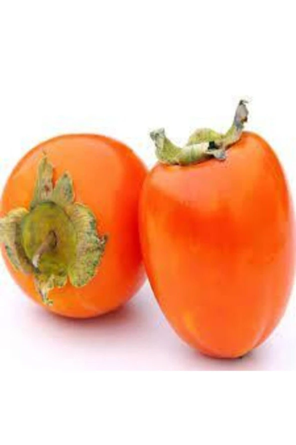 2 Adet Tohum Organik Bahçe Yaş Hurma Tohumu Taze Yeni Mahsul Mahsül Hurma Tohumu Yeni Sezon ürün görseli 1