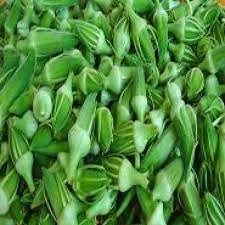 100 Adet Tohum Organik Bahçe Sultani Uzun Adana Bamyası Saksılık Orjinal Bamya Tohumu - Resim 2