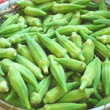 100 Adet Tohum Organik Bahçe Sultani Uzun Adana Bamyası Saksılık Orjinal Bamya Tohumu ürün görseli 1