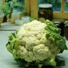 250 Adet Tohum Nadir Kar Beyazı Karnıbahar Tohumu Organik Ata Tohum Sürpriz Hediyeli - Resim 2