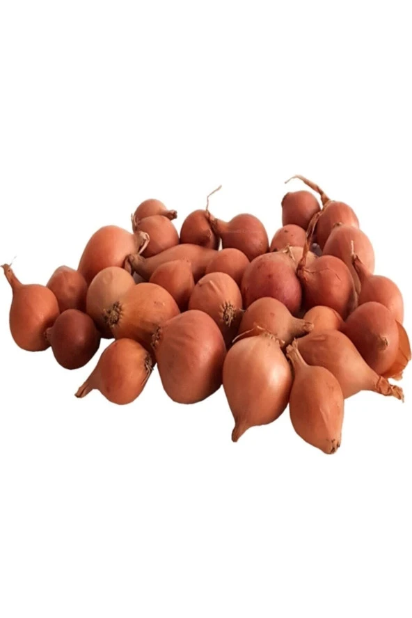 150 Adet Tohum Nadir Kaliteli Kıska Arpacık Soğan Tohum Yeni Hasat Hediye Tohumlu ürün görseli 1