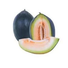 30 Adet Tohum Nadir Siyah Kavun Tohumu Organik Bahçe Siyah Kavun Tohumu Kara Bal Kavun - 2