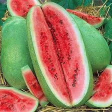 10 Adet Tohum Nadir Hobi Bahçe Charliston Gray Çarliston Gray Karpuz Tohumu Organik Bahçe Saksı Topr - 3