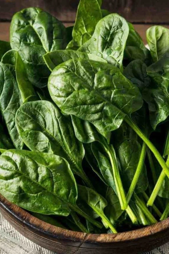 50 Adet Tohum Nadir Organik Köy Taze Yeşil Ispanak Tohumu Hobi Bahçe Tohum Hediye Tohumlu ürün görseli 1