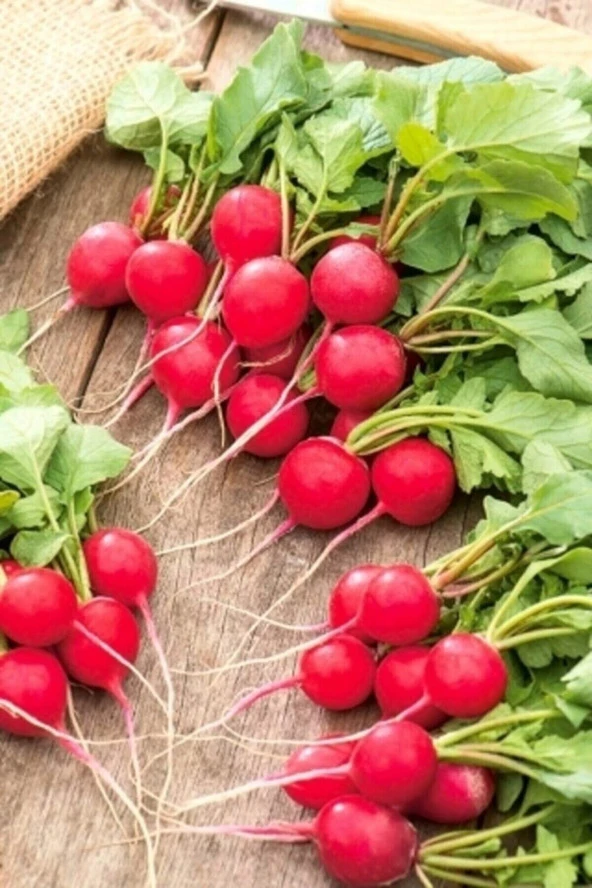 200 Adet Tohum Organik Hobi Bahçe Fındık Kırmızı Turp Tohumu Yeni Hasat Tohum Hediyeli ürün görseli 1