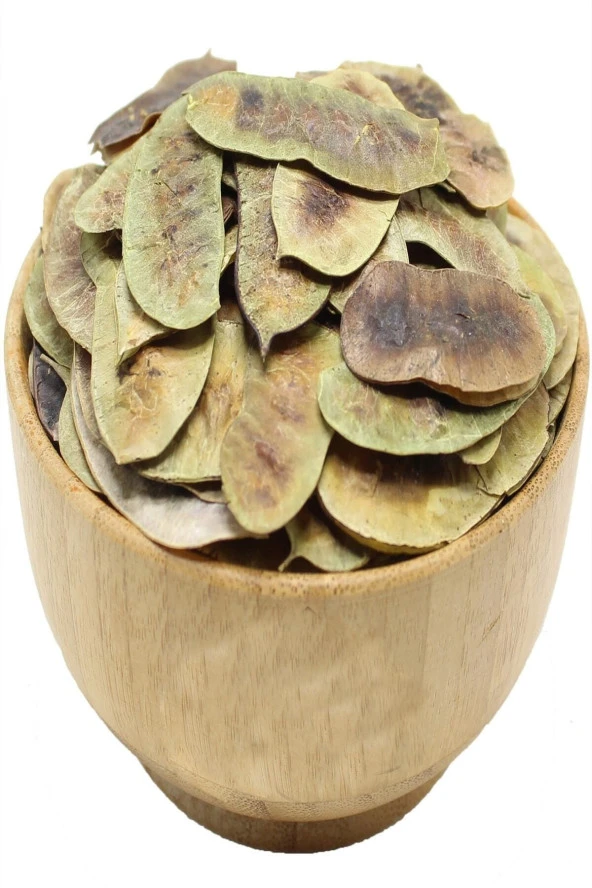 250 gr Egzotik Şifalı Kabızlığa Şifa Bitki Aşlık Otu Yeni Mahsül Kuru Aşlık Otu Organik ürün görseli 1