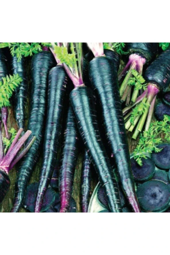 100 Adet Tohum Nadir Siyah Havuç Tohumu Şalgamlık Havuç Organik Köy Tohumu Hediye Tohumlu ürün görseli 1