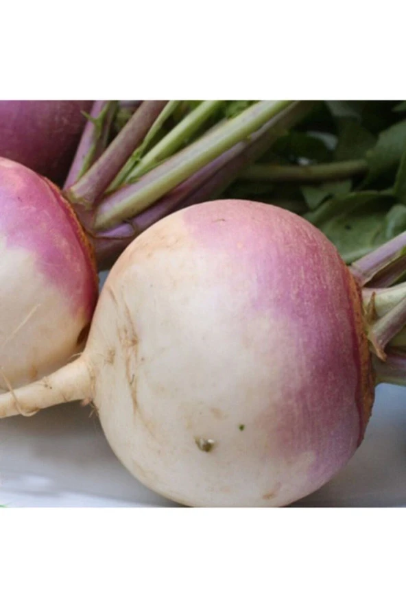 200 Adet Tohum Organik Bahçe Şalgam Turpu Tohumu Şalgam Turp Tohumu Yeni Hediyeli Tohum ürün görseli 1