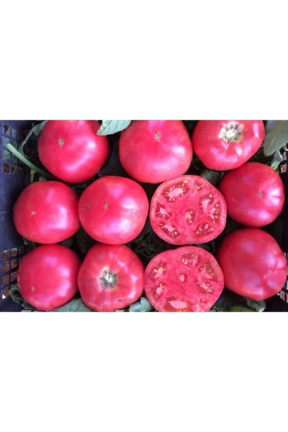 100 Adet Tohum Nadir Iri Pembe Bulgar Köy Domatesi Tohumu Hobi Bahçe Domates Tohumu Hediye Tohumlu ürün görseli 1