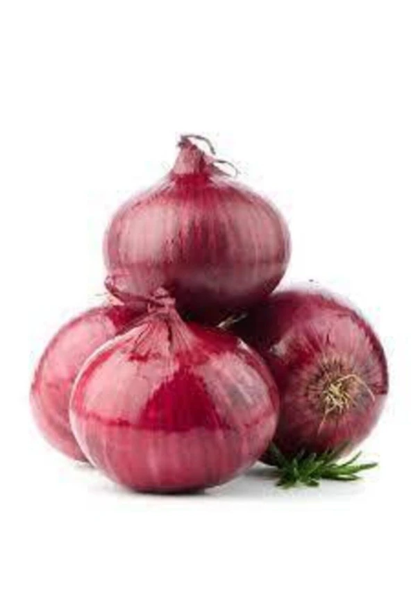 100 Adet Tohum Yeni Hasat Mor Kışlık Soğan Tohumu Organik Taze Tohumlar Hediye Tohum ürün görseli 1