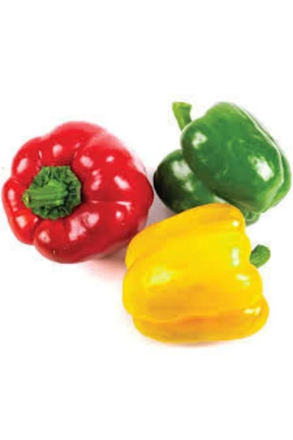 30 Adet Tohum Renkli Rengarenk Dolmalık Biber Tohumu Taze Dolmalık Biber Saksı Toprak Hediye ürün görseli 1