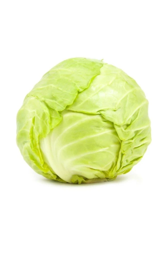 50 Adet Tohum Sarmalık Niğde Lahana Tohumu Organik Lahana Tohumu Yeşil Lahana Sarmalık Hediye Tohum ürün görseli 1