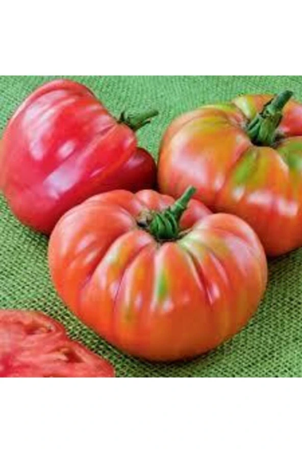 100 Adet Tohum Organik Köy Tohumu Iri Domates Tohumları Kaliteli Organik Tohum Domates Hediye Tohuml ürün görseli 1
