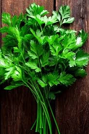 500 Adet Tohum Maydanoz Tohumu Geniş Yapraklı Maydonoz Organik Köy Tohumu Saksı Toprak - 2