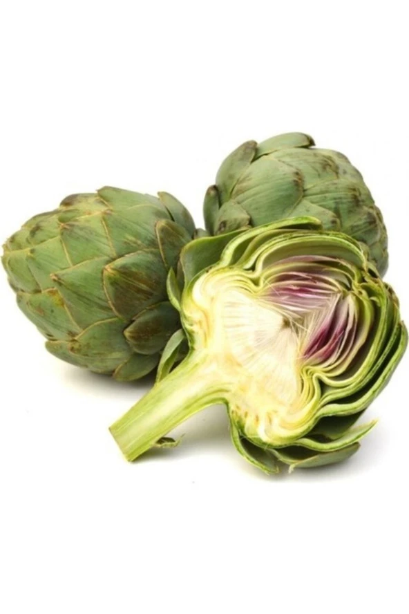 100 Adet Tohum Organik Orjinal Bahçe Enginar Tohumu Geleneksel Organik Köy Tohumu Saksı Topraklı ürün görseli 1