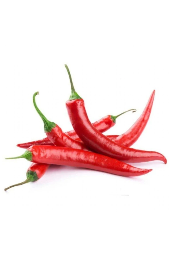 30 Adet Meksika Biberi Tohum Zehir Acı Meksika Biberi Tohumu Jalapeno Jalepeno Biber Tohumu Hediye ürün görseli 1