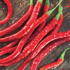 50 Adet Tohum Eko Paket Şili Biberi Tohumu Çok Acı Chili Biberi Tohumu Sürpriz Hediye Sebze Tohumu ürün görseli 1