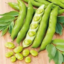 30 Adet Tohum Eko Paket Yerli Sakız Bakla Tohumu Adet Tohum Sürpriz Hediye Tohum - Resim 2