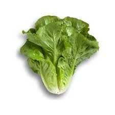 200 Adet Tohum Organik Yedikule Marul Tohumu Yedikule Marulu Göbekli Marul Sürpriz Hediye Tohumludur ürün görseli 1