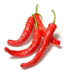 50 Adet Tohum Eko Paket Şili Biberi Tohumu Çok Acı Chili Biberi Tohumu Sürpriz Hediye Sebze Tohumudu