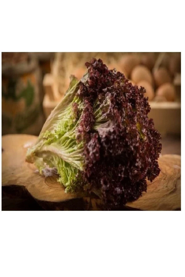 100 Adet Tohum Organik Bahçe Marul Tohumu Kıvırcık Lolorosso Saksı Toprak Hediyemiz ürün görseli 1