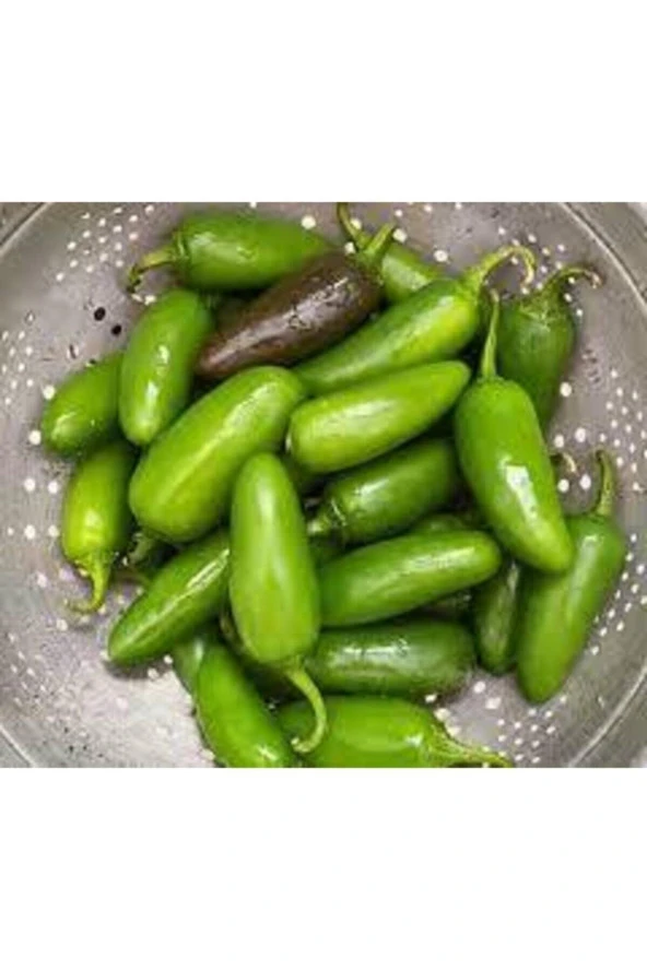 100 Adet Meksika Biberi Tohum Zehir Acı Meksika Biberi Tohumu Jalapeno Jalepeno Saksı Toprak Hediye ürün görseli 1