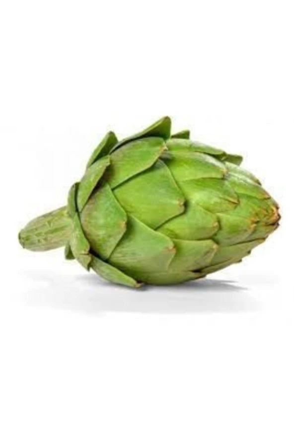 50 Adet Tohum Organik Orjinal Bahçe Enginar Tohumu Geleneksel Tohumu Sürpriz Hediye Tohumludur