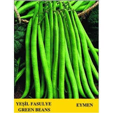 100 Adet Tohum Köy Eymen Ata Yadigarı Oturak Erkenci Fasulye Tohumu Sürpriz Hediye Tohumludur - Resim 2