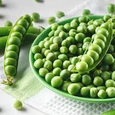 100 Adet Tohum Organik Orjinal Geleneksel Bezelye Tohumu Saksı Toprak Hediyemizdir