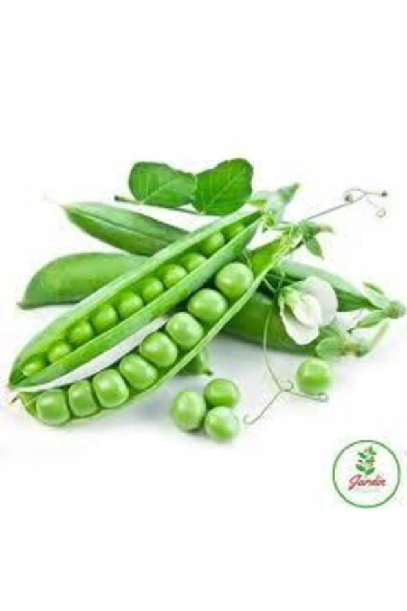 100 Adet Tohum Organik Orjinal Geleneksel Bezelye Tohumu Sürpriz Hediye Sebze Tohumlu ürün görseli 1