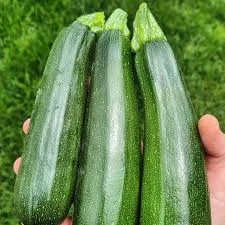 10 Adet Tohum Eko Paket Kara Kolsuz Kabak Tohumu Lezzetli Kabak Sürpriz Hediye Tohumludur - 4