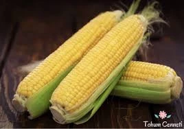 400 Adet Tohum Eko Paket Süt Mısır Süt Mısır Tohumu Darı Tohumu Mısır Tohumu Sürpriz Hediye Tohumlu - 2